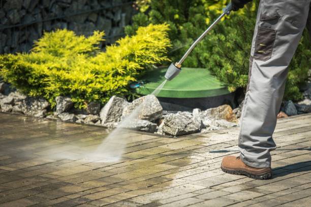 Best Boat and Dock Cleaning  in Woodsboro, TX